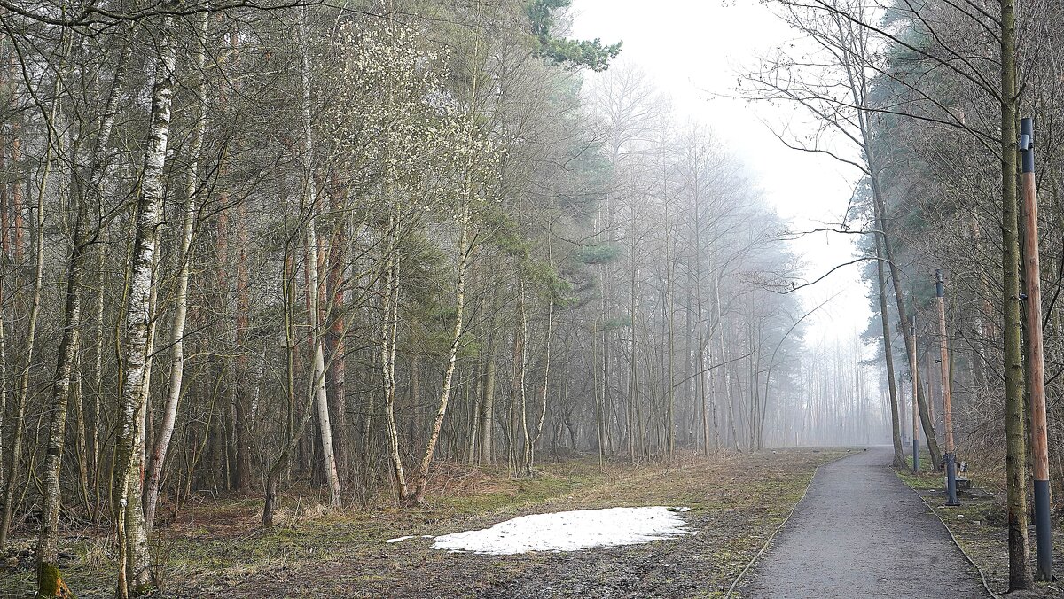 Последний снег - Татьяна Тюменка Последний снег - Татьяна Тюменка