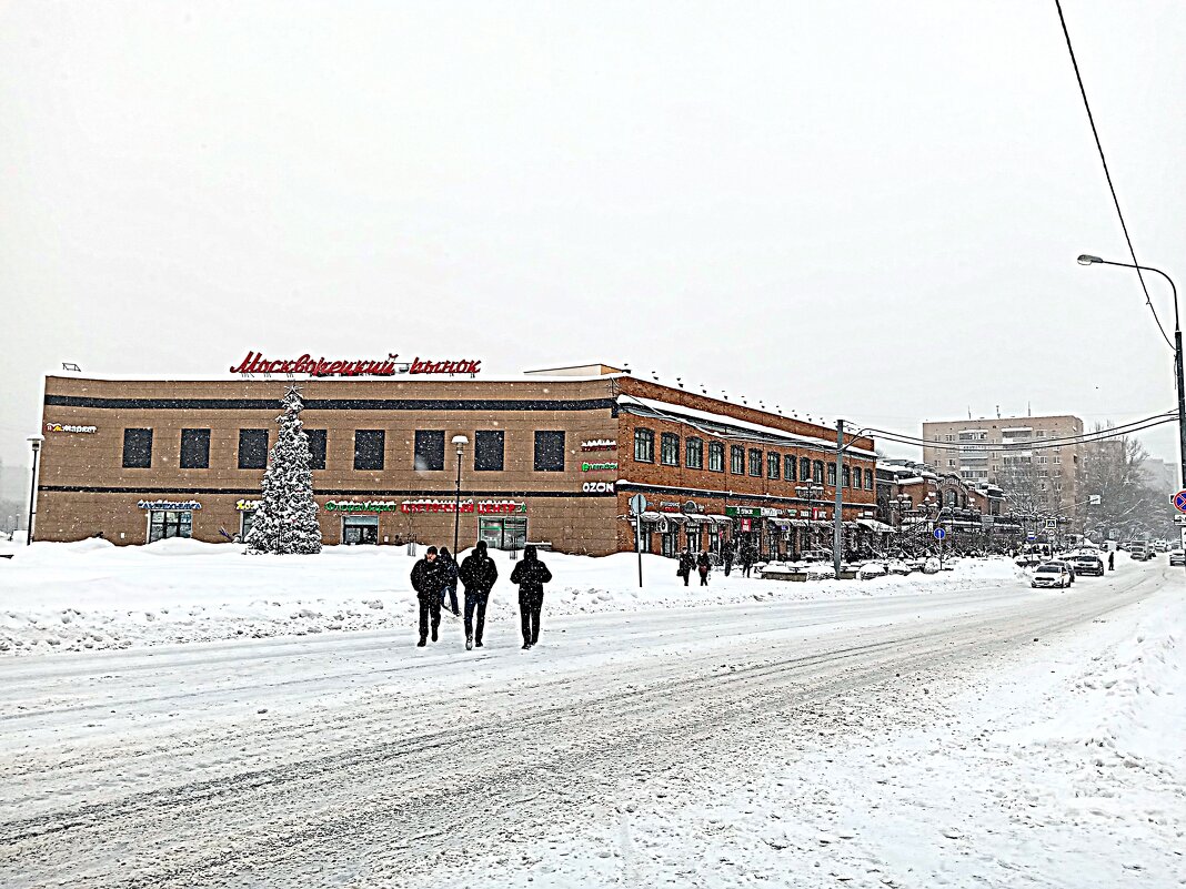 Зима. - Владимир Драгунский Зима. - Владимир Драгунский