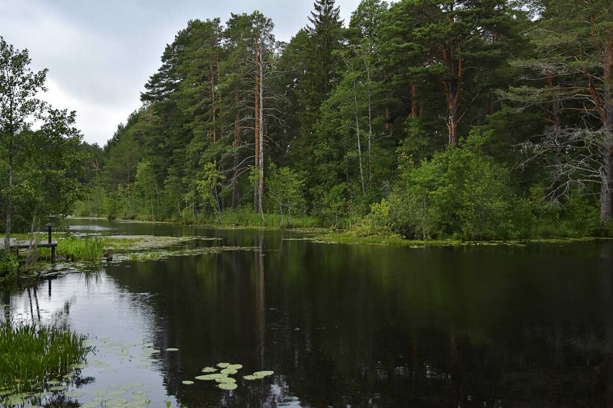 Природа - Валерий Пославский