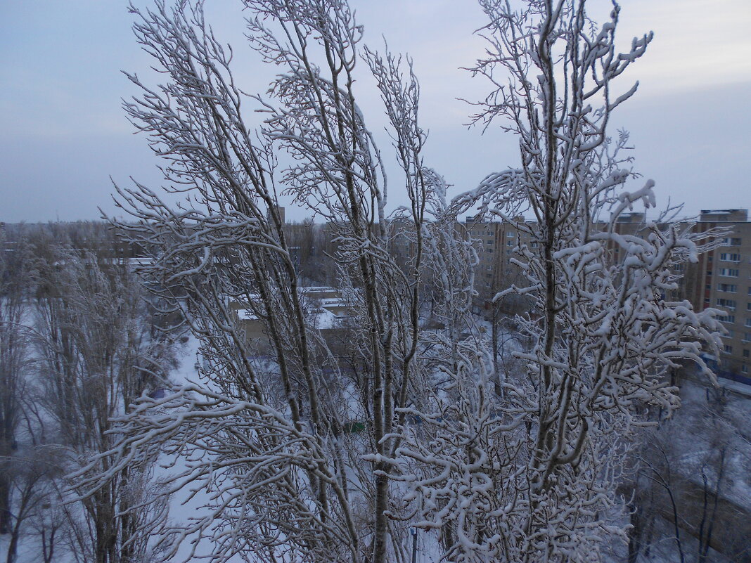холодно - Елена Шаламова