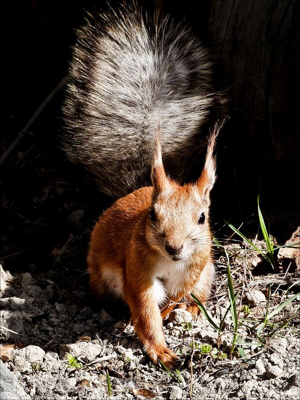 Привет всем! - Валентина * Привет всем! - Валентина *