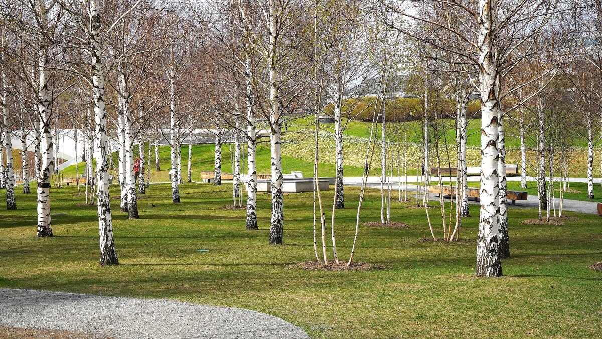 В парке Зарядье - Татьяна Тюменка