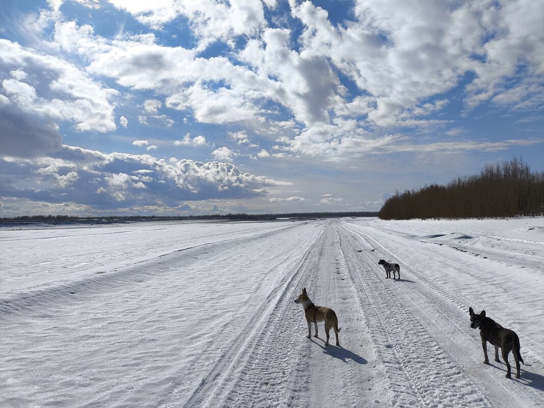 В дальний путь - Anna Ivanova В дальний путь - Anna Ivanova