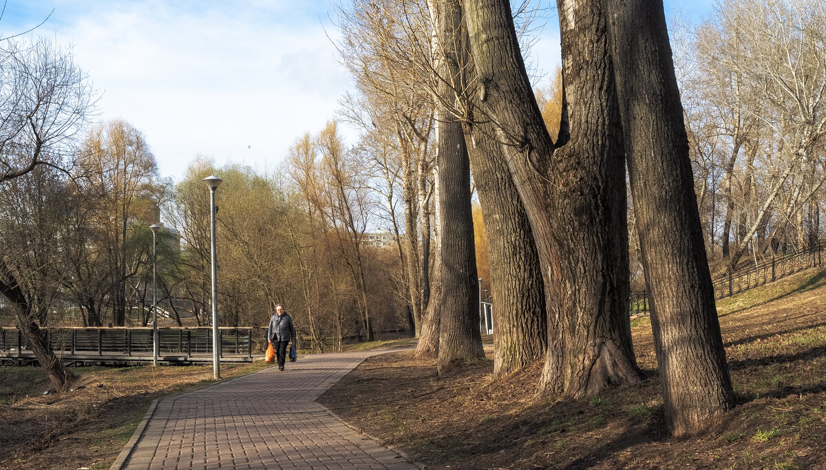 Прогулки в Весеннем Парке - юрий поляков