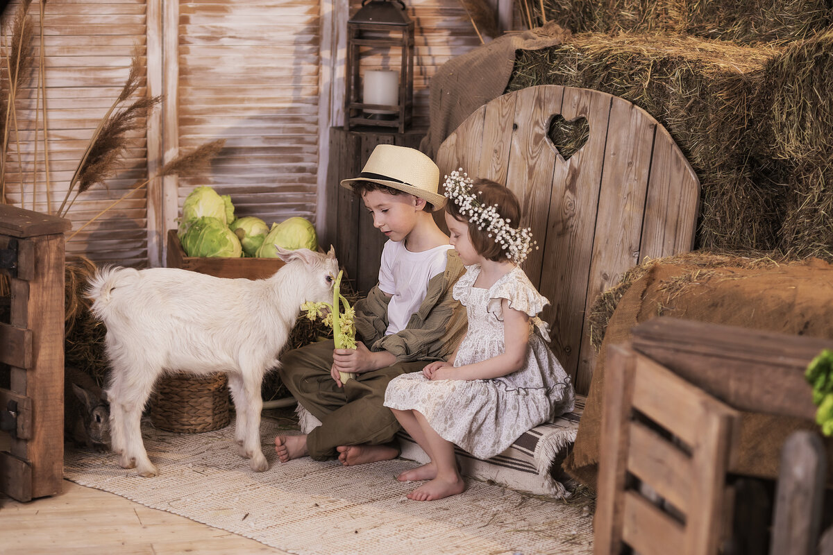 пушистая ферма - Olga 