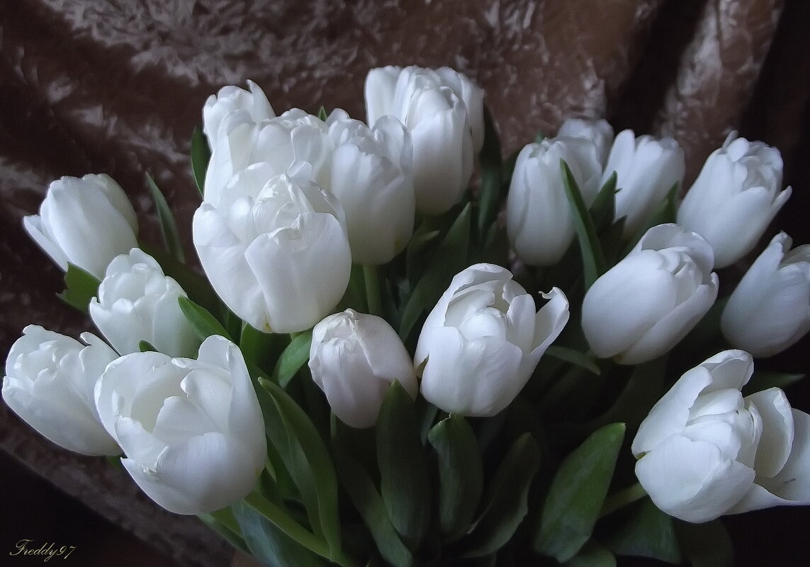 Букет - Freddy 97