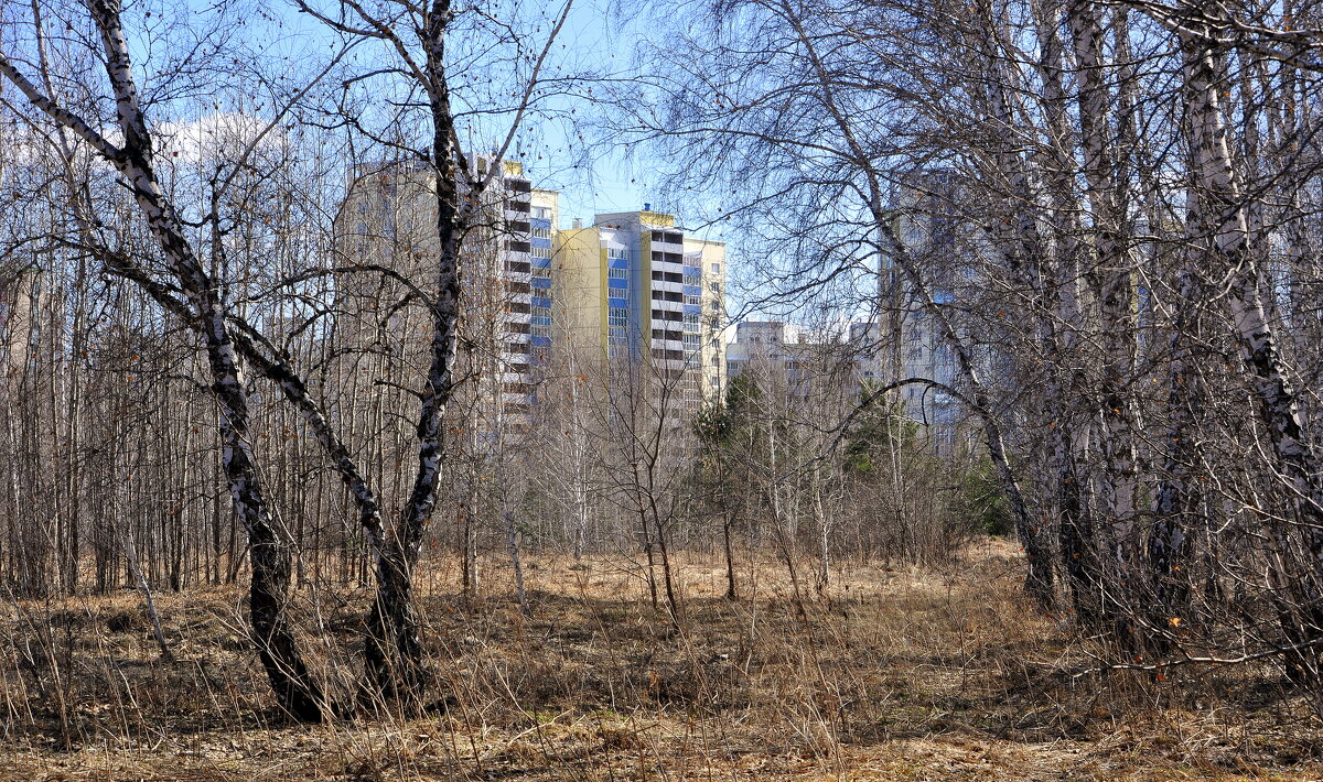 Весна идет.... - Анатолий Анищик Весна идет.... - Анатолий Анищик