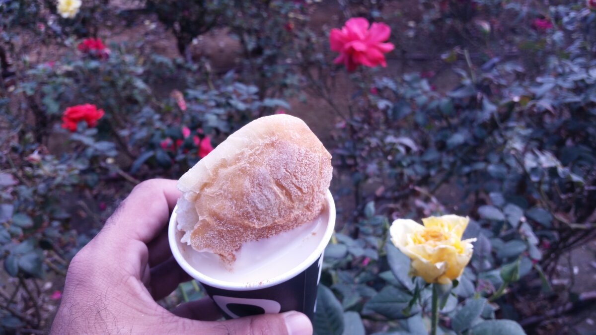 116 (9) - СТРЕН 