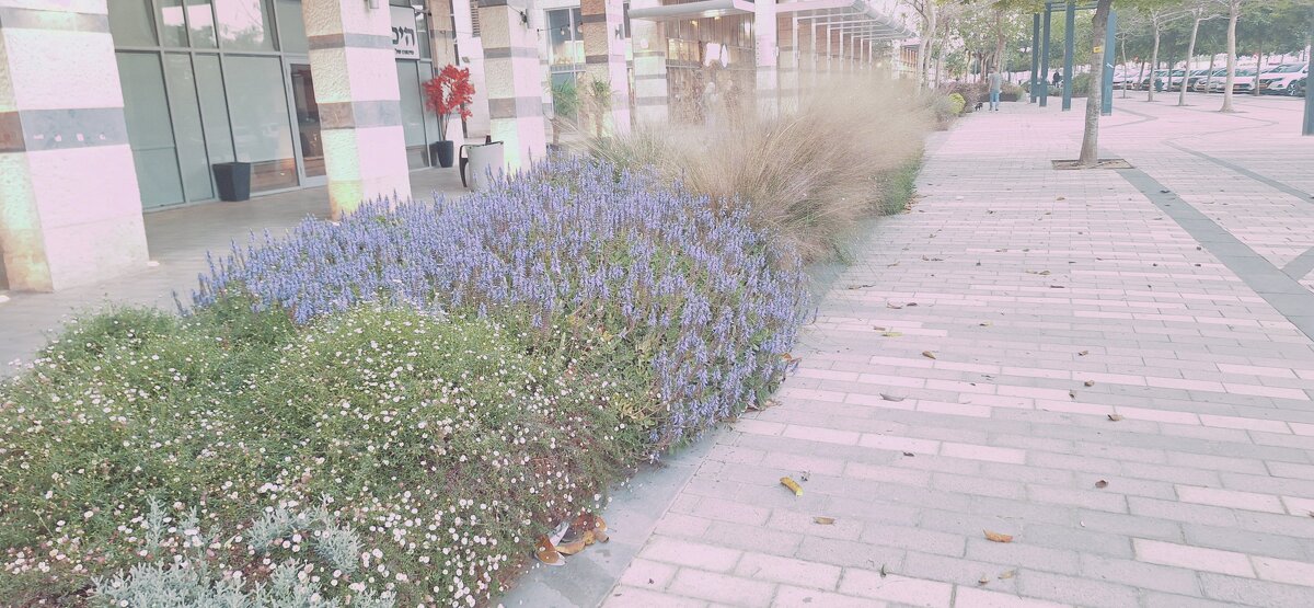 14  КЛОС (114) - CLOSE WAYS ALL