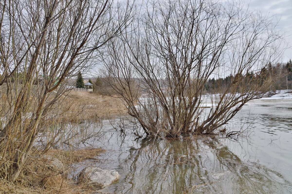 - - Владимир Мигонькин