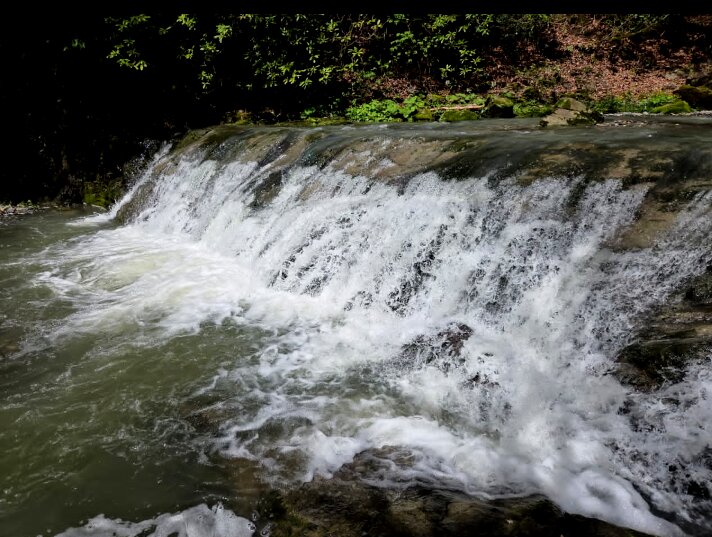 ОРЕХОВКА - Tata Wolf