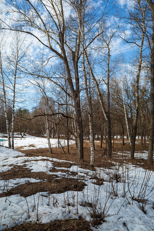 Весеннее настроение - Александр Синдерёв