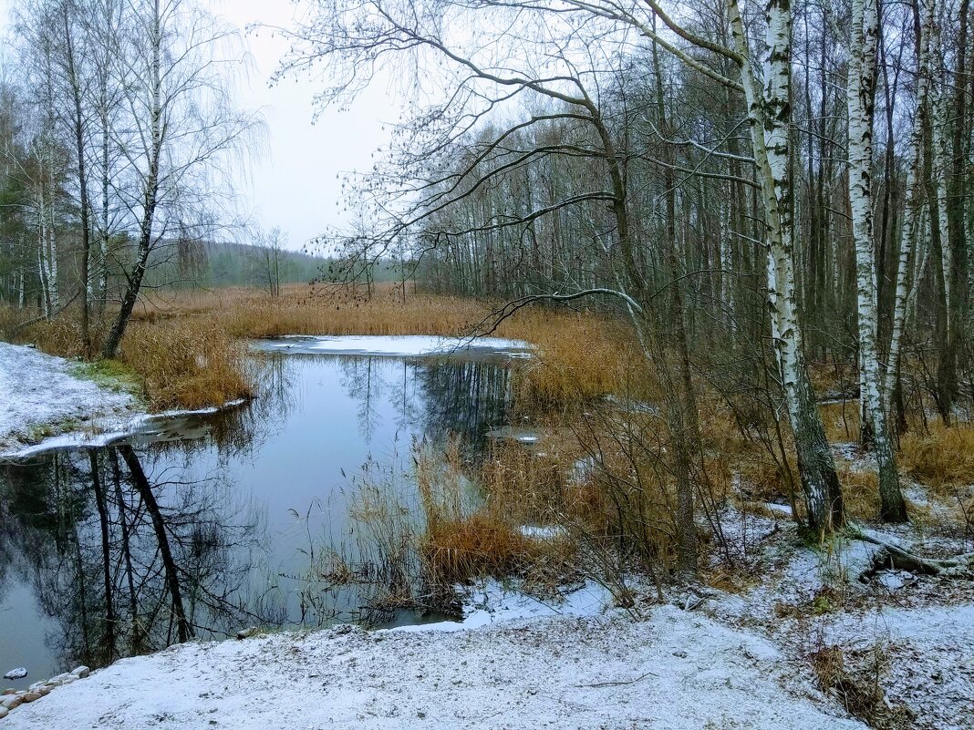 Начало зимы. - delete (id213252) 