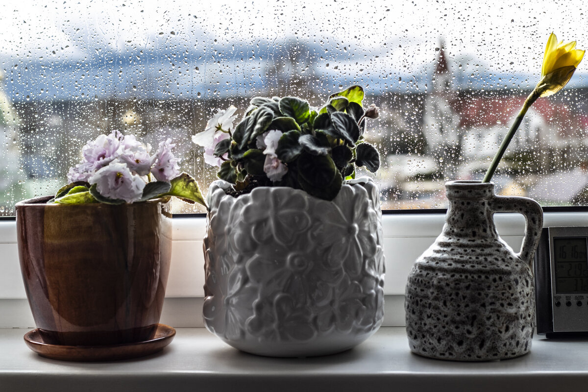 А за окном и дождь и .... - Николай 