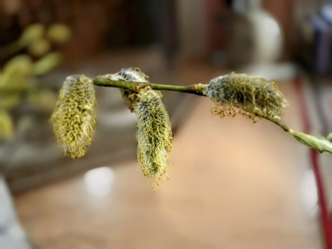 Апрель... - Михаил Столяров