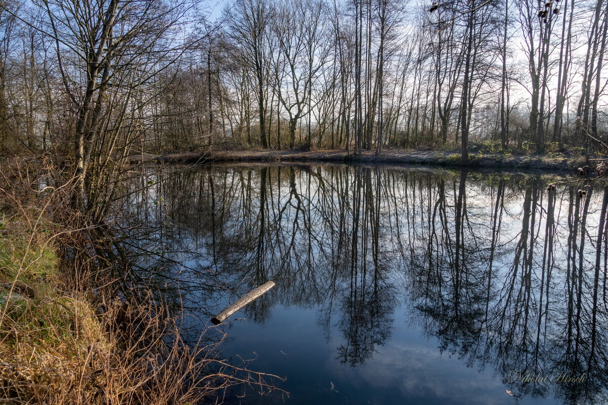 Из январского... - Николай Гирш Из январского... - Николай Гирш
