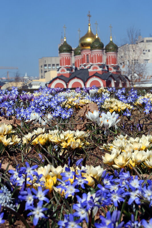 Зарядье 23 марта - Михаил Бибичков