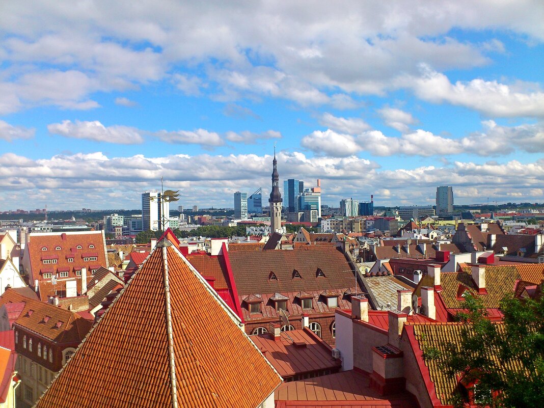 Таллин - Лия ☼