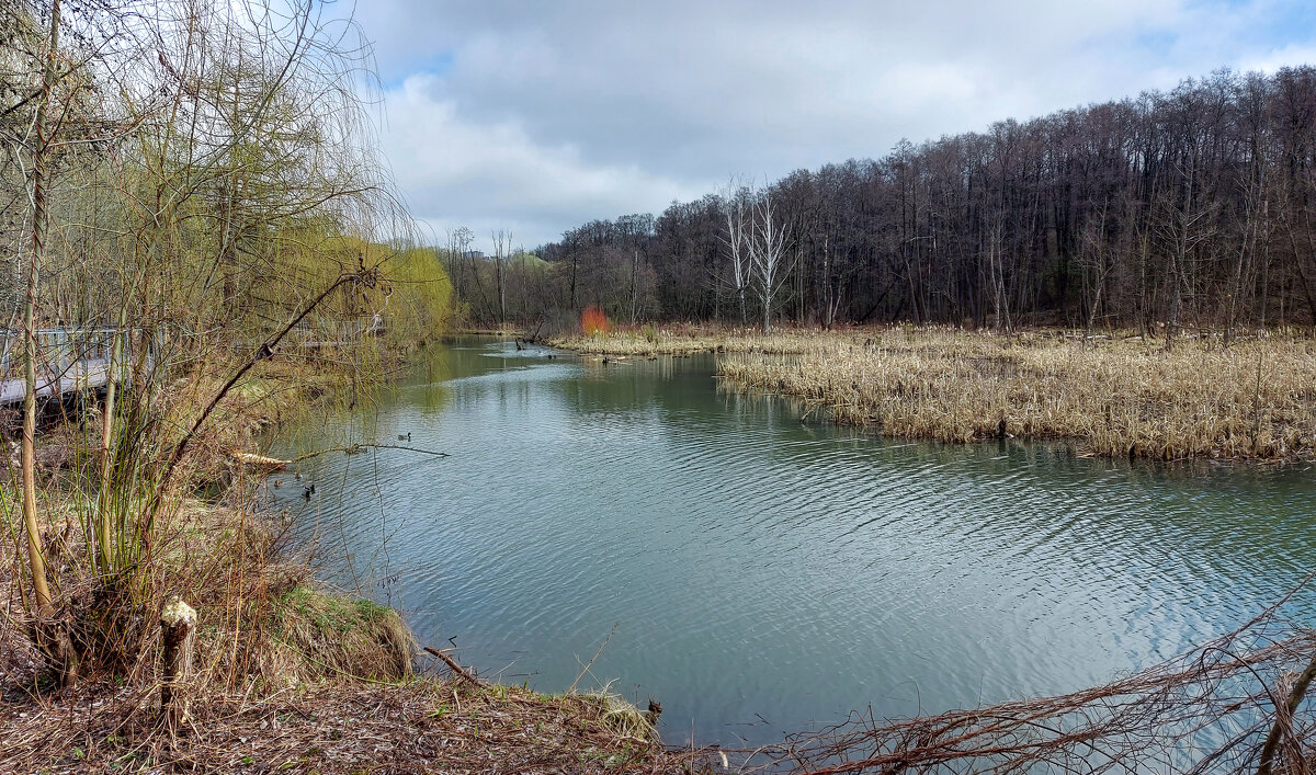 Весна. - Владимир Безбородов