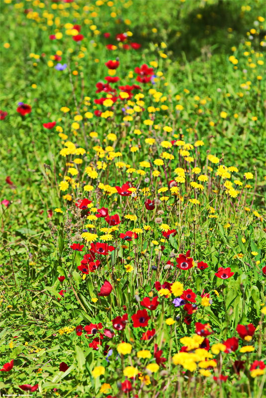 Природа 2026 - Владислав Воровский 