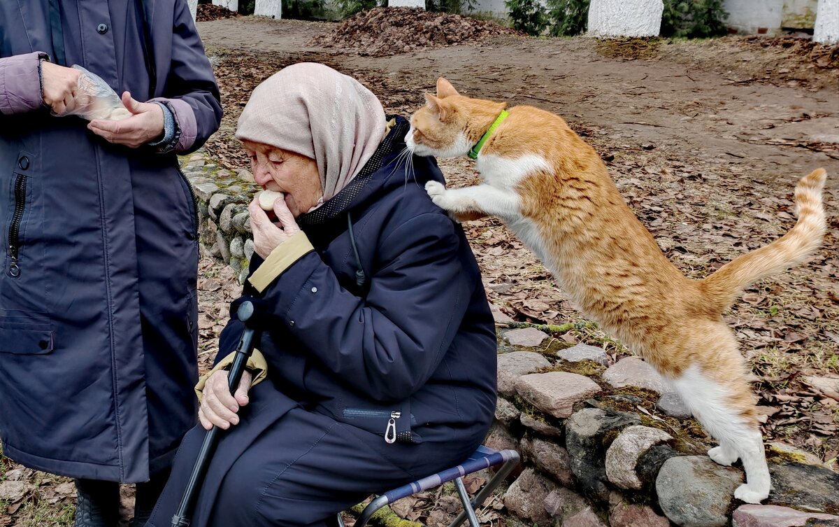 и мне ведь хочется... - Любовь 