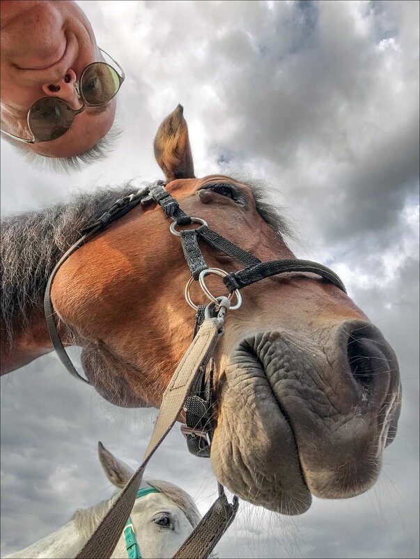 ЖЕРЕБЦЫ - Александр Кустов