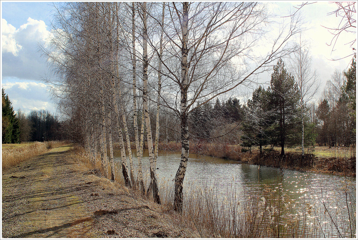 *** - Aleksandr Gal *** - Aleksandr Gal