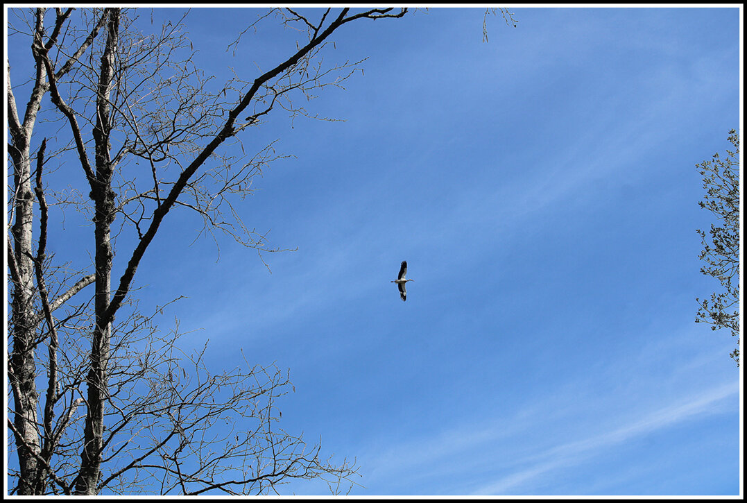 *** - Aleksandr Gal *** - Aleksandr Gal