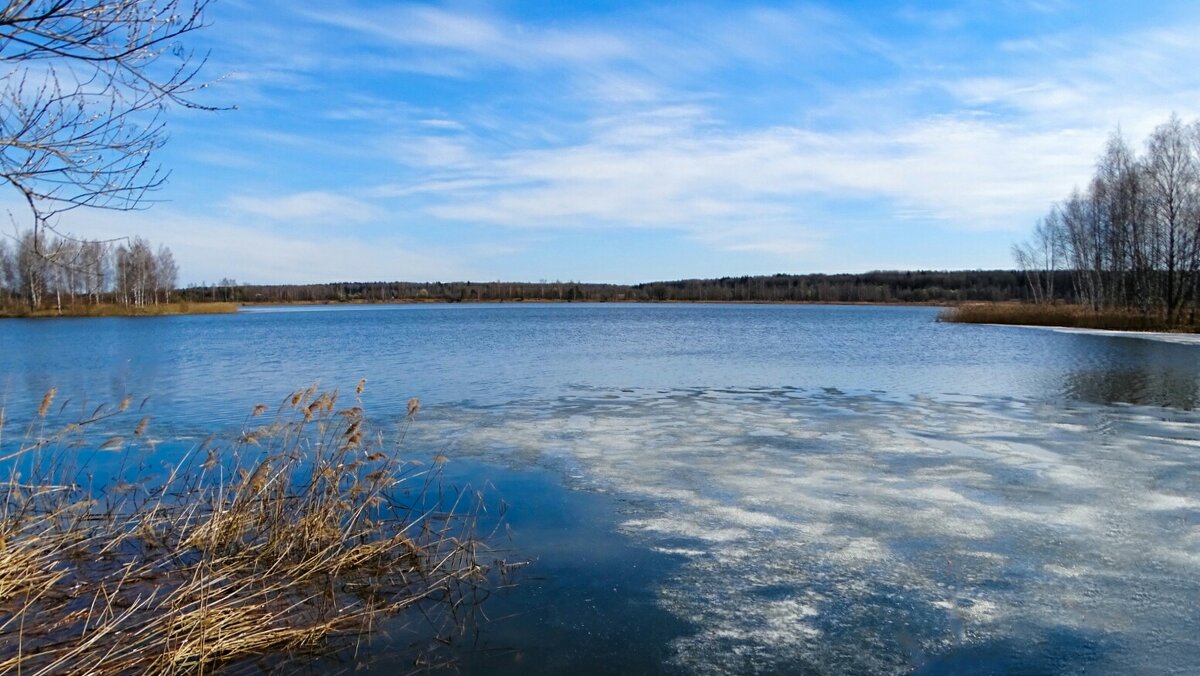 Весна в начале апреля. - Милешкин Владимир Алексеевич 