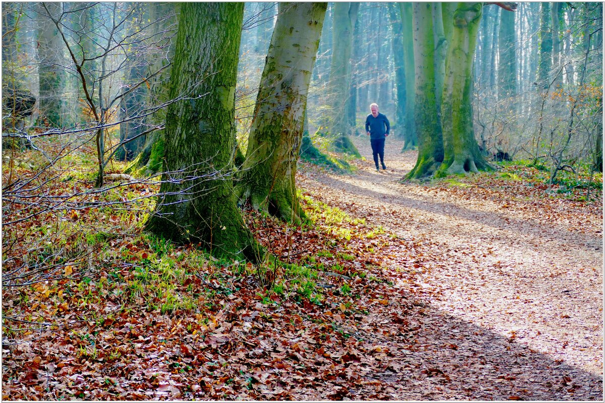 В ЛЕСУ... - Elvira E. 