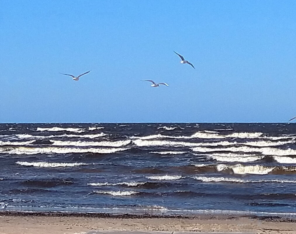 весенние зарисовки - ИННА ПОРОХОВА