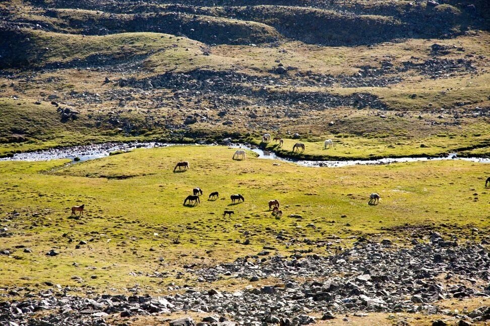 Долина - Виктор Фоменко