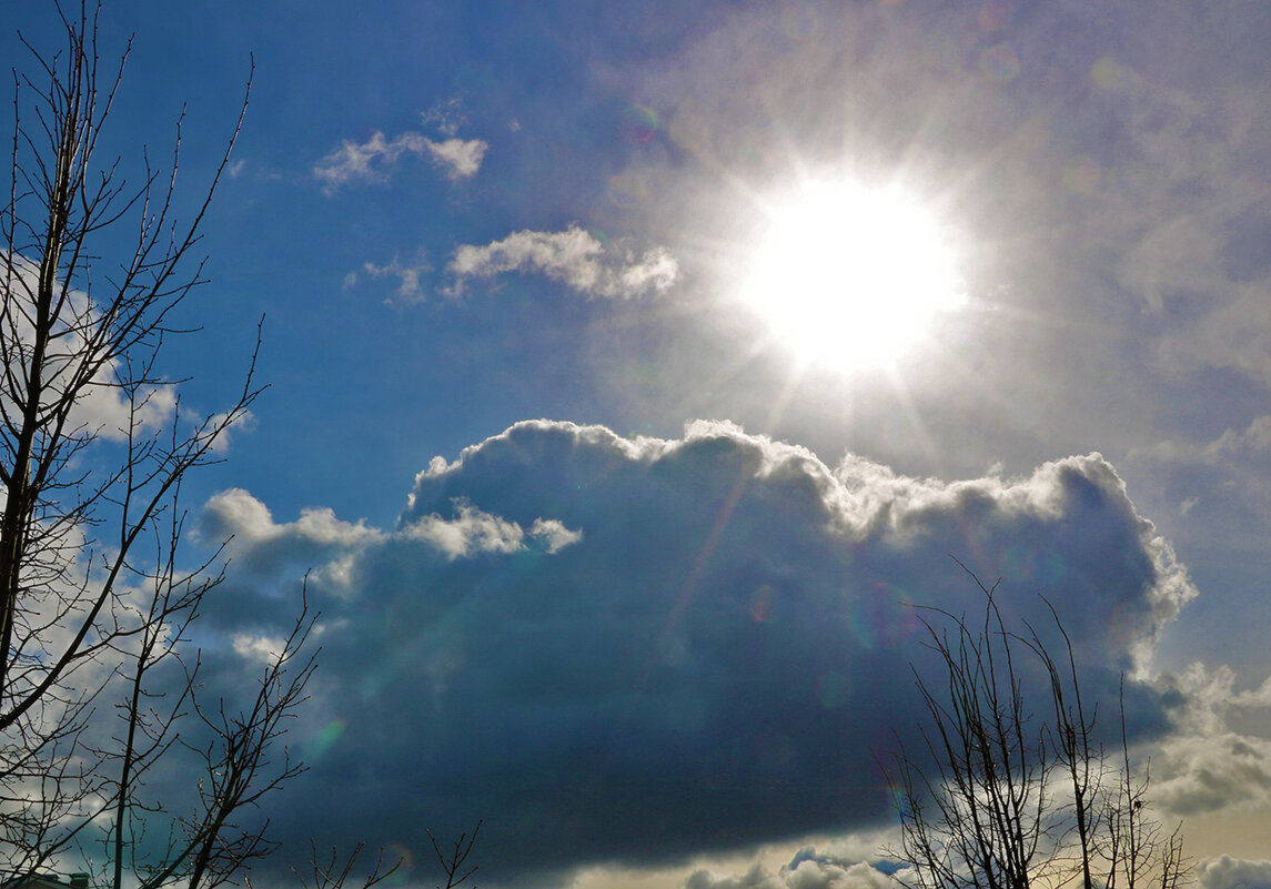 Крокодил солнце проглотил... почти... - Светлана 