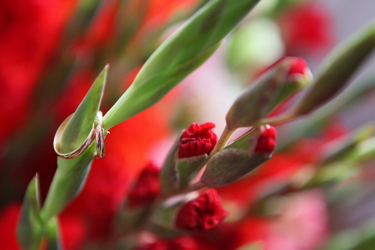 СВАДЬБА - Сергей Фомин 