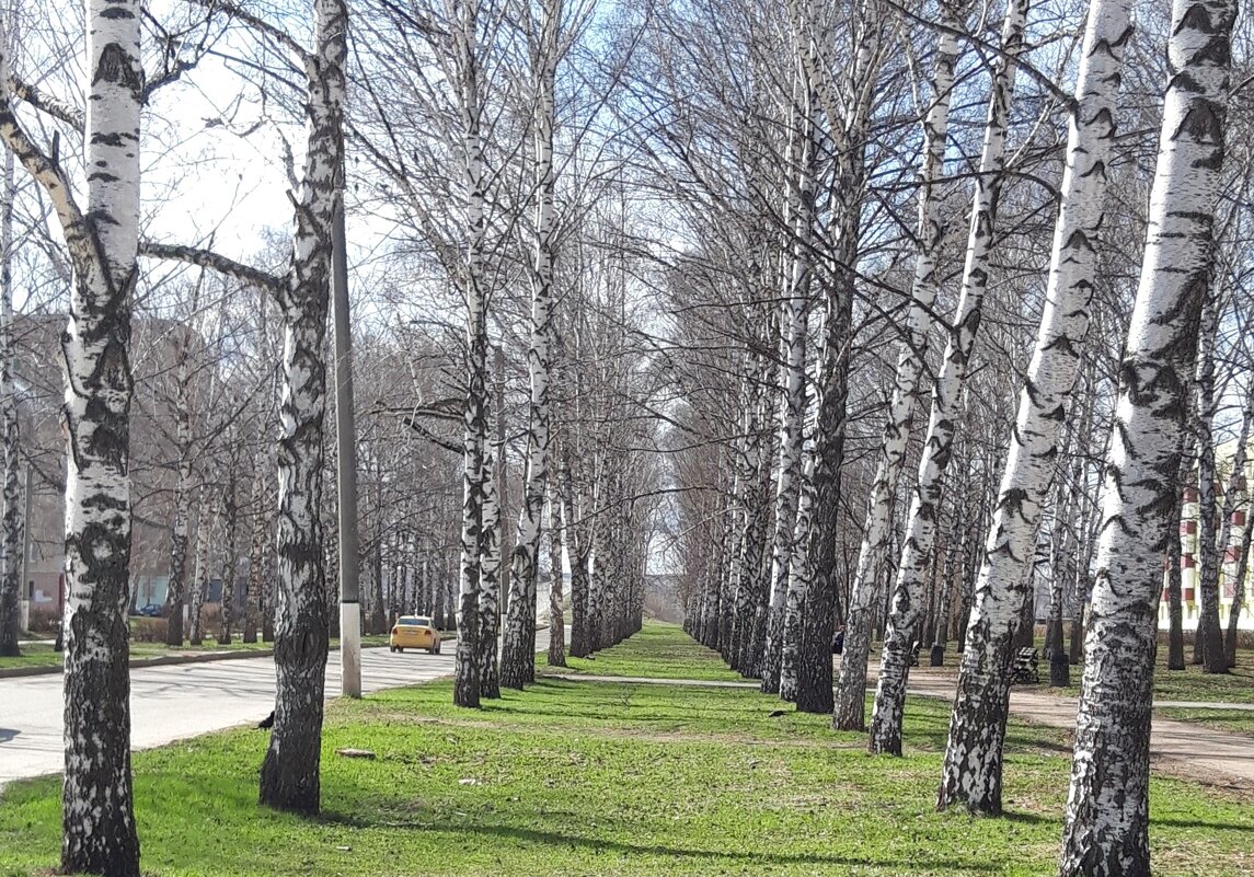 апрель - Венера Чуйкова апрель - Венера Чуйкова