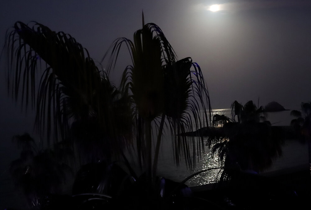 Ночка лунная... - Галина Ильясова Ночка лунная... - Галина Ильясова