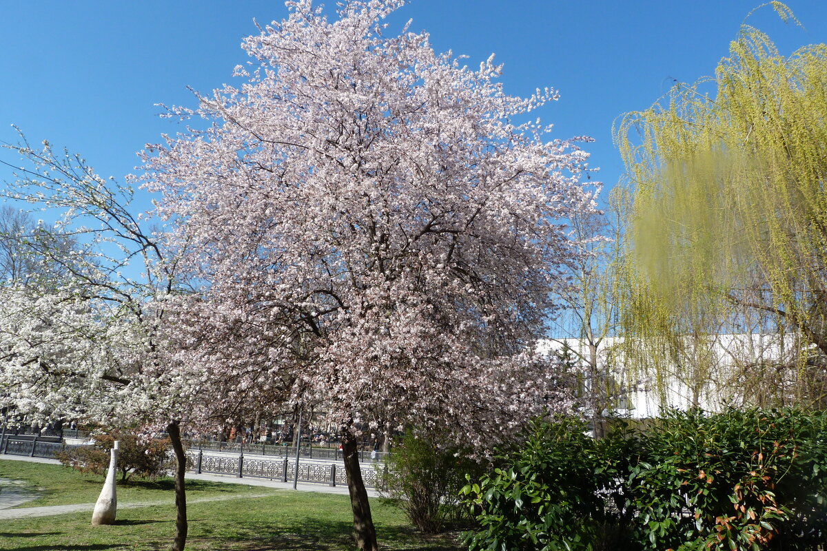 Весенний  Крым - Валентин Семчишин