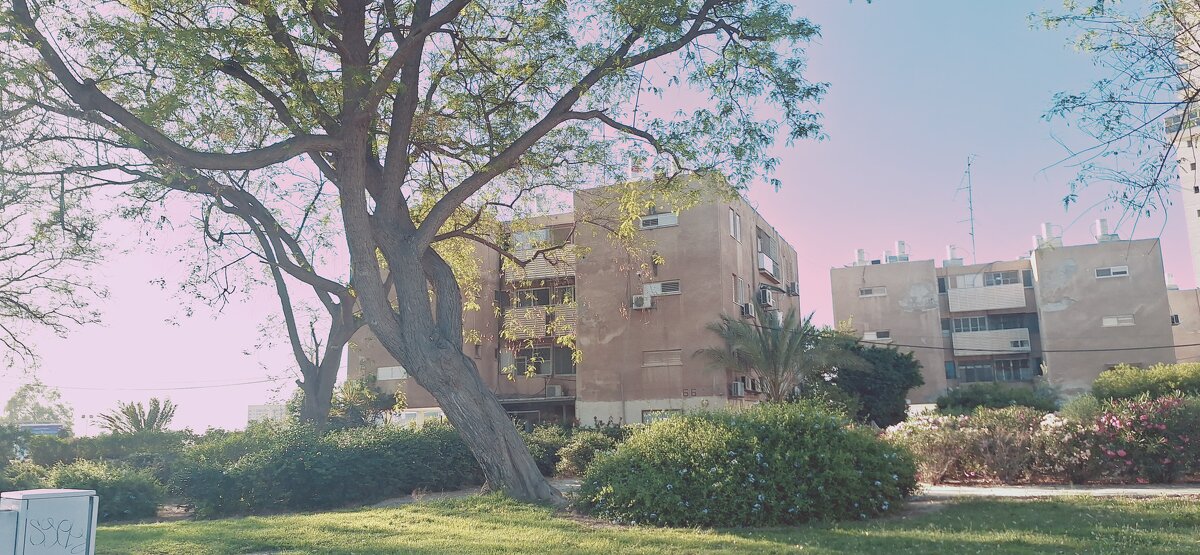 14  КЛОС (118) - CLOSE WAYS ALL