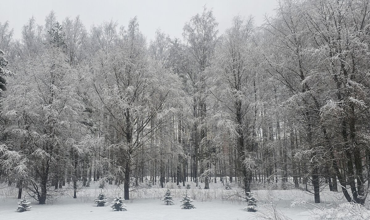 Последние дни зимы. - ast62 Последние дни зимы. - ast62