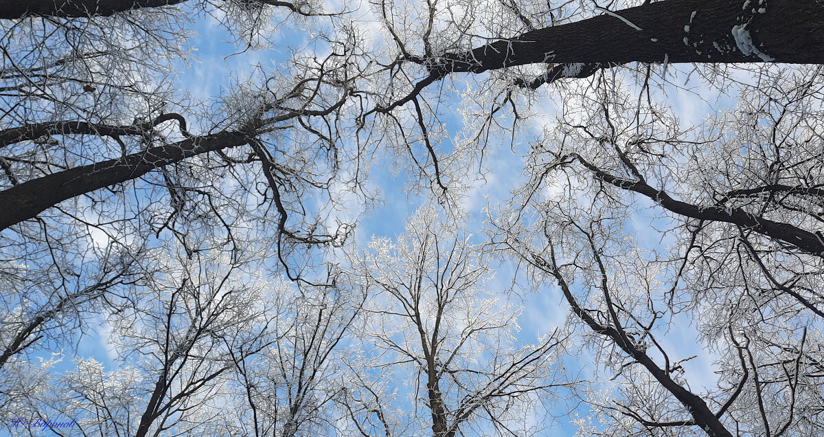 До головокруженья. - Юрий Воронов