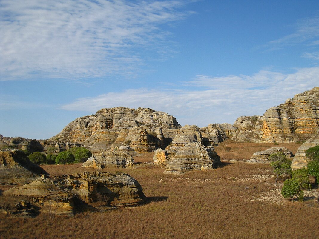 Кусочек Мадагаскара. - unix (Илья Утропов)