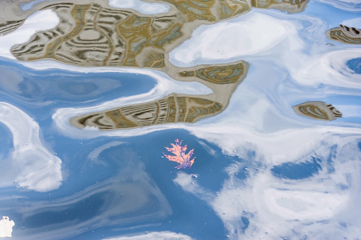 Отражение в воде - Валерий Иванович