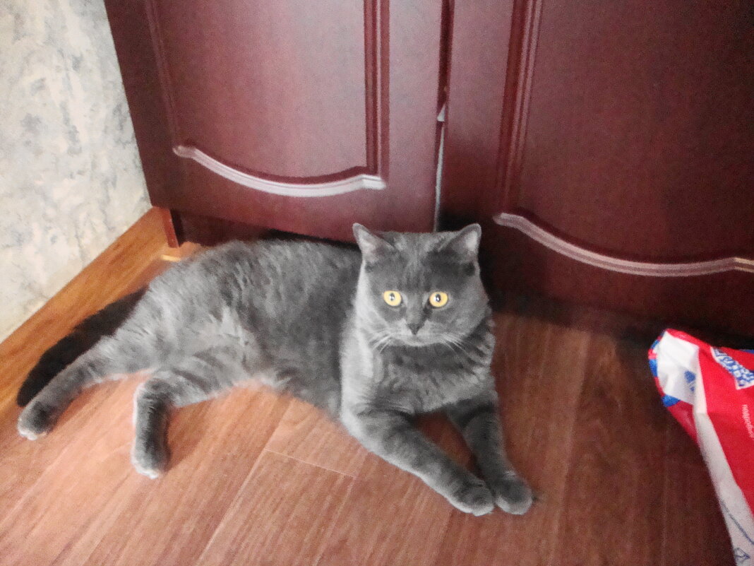 я тут по-хозяйству... - Галина Флора я тут по-хозяйству... - Галина Флора