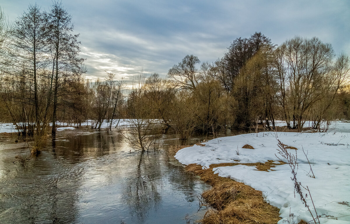 Вешние воды 9. - Андрей Дворников