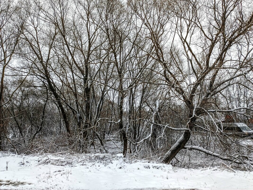 Апрель - Михаил Столяров