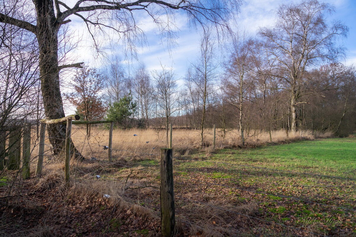 *** - Николай Гирш *** - Николай Гирш