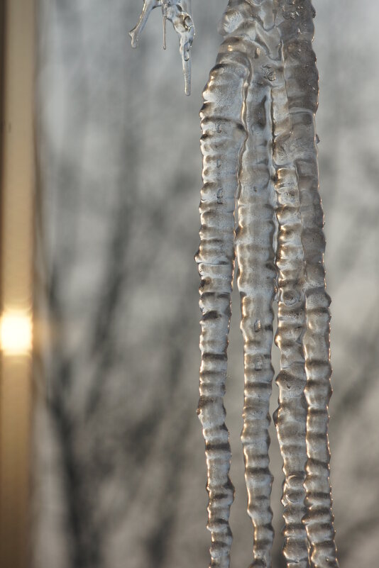 Последние сосульки - Наталия Григорьева Последние сосульки - Наталия Григорьева