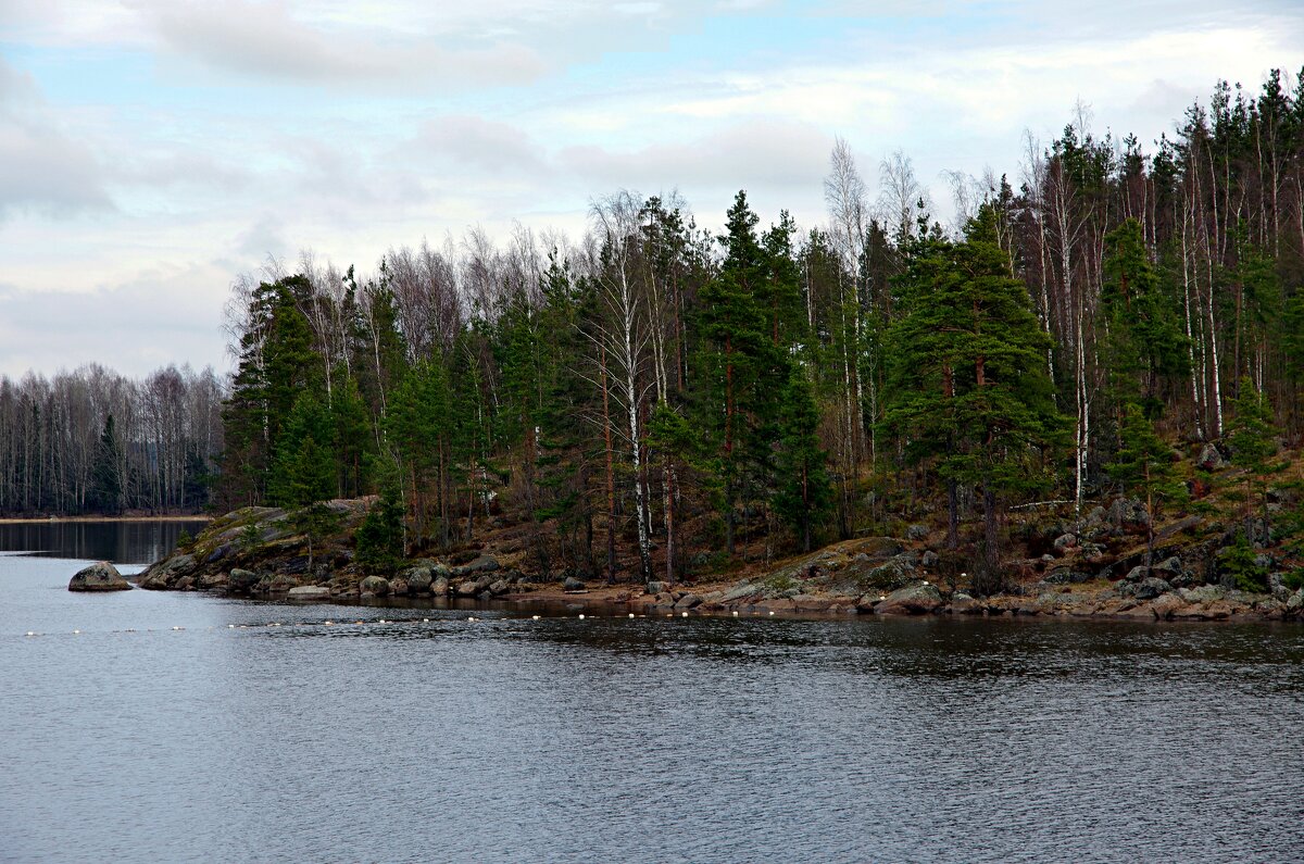 Апрель - В.И 