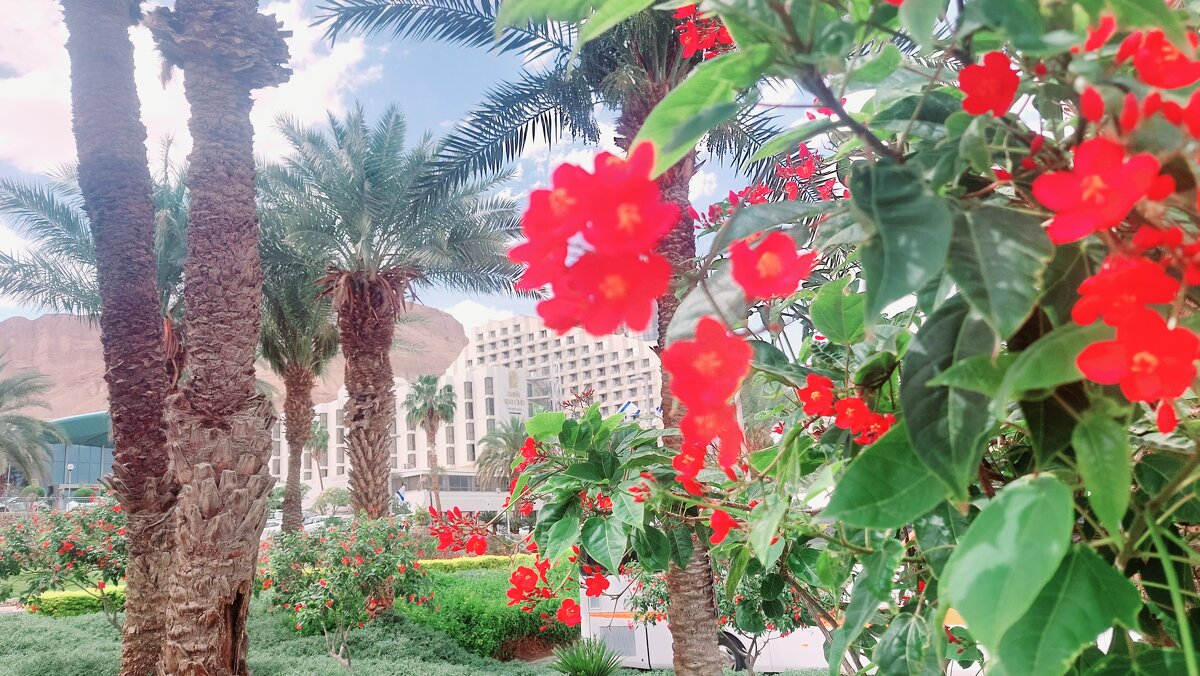 14  КЛОС (125) - CLOSE WAYS ALL