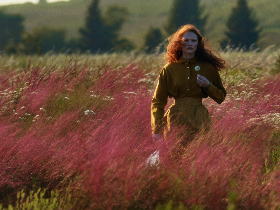 Одуванчики - Евгений Нодвиков